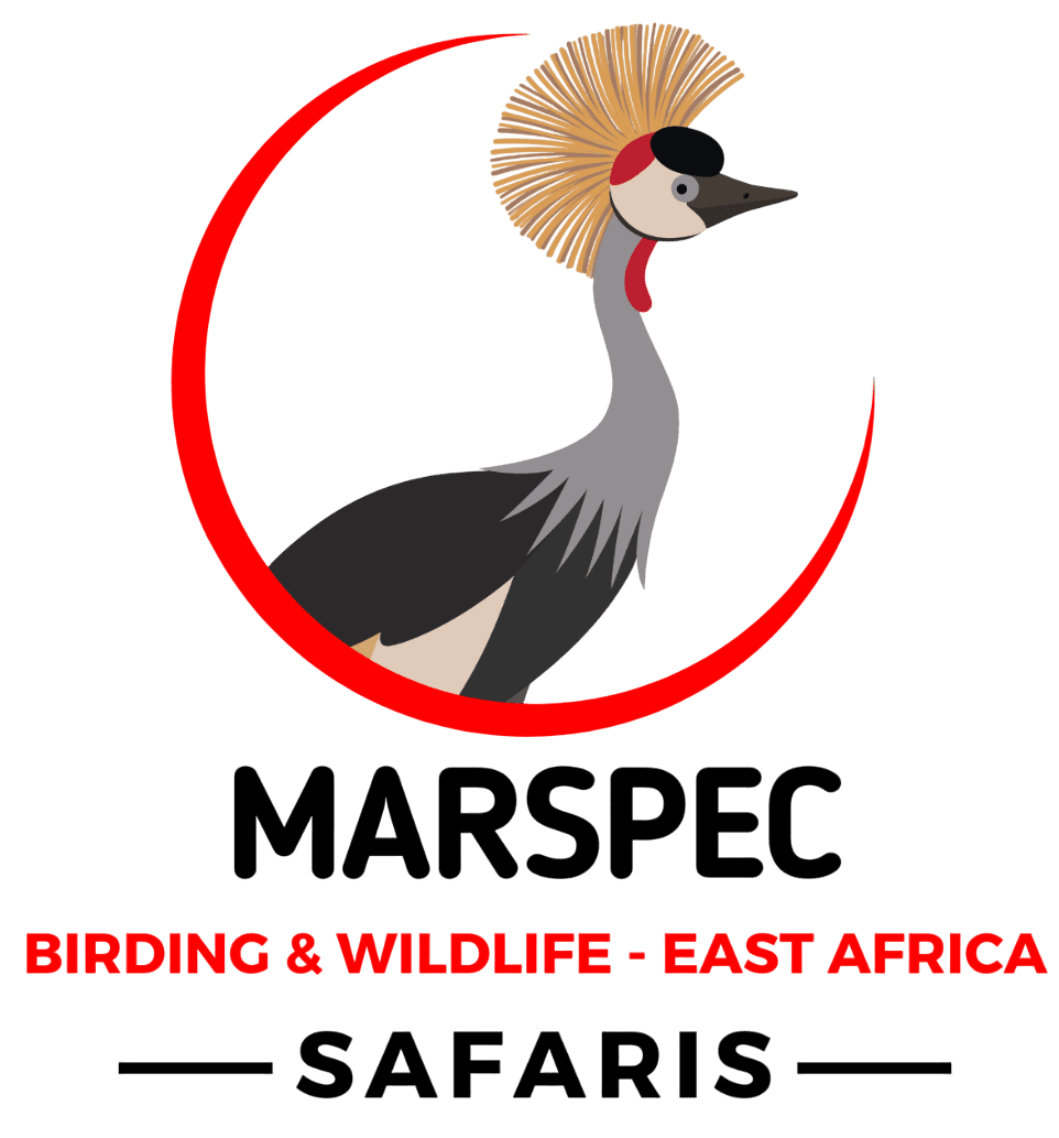 Marspec Birding logo