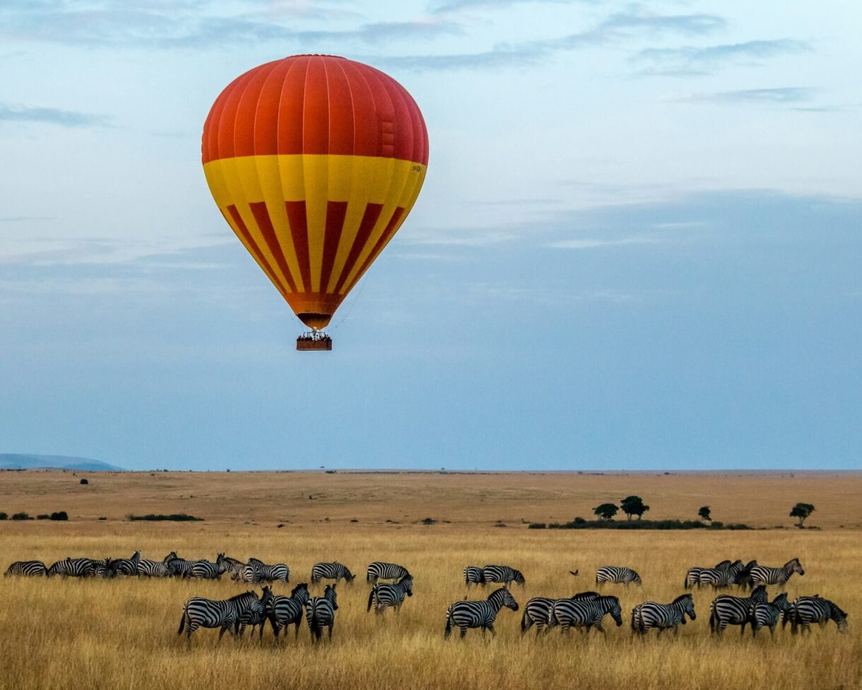 Kenya safari